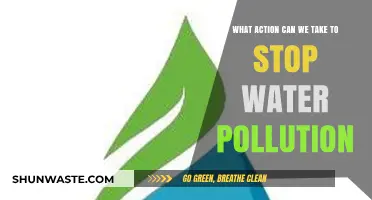 Battling Water Pollution: Effective Steps to Protect Our Precious Resource