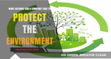 Sustainable Strategies: How Companies Can Act to Protect Our Environment
