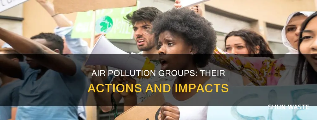 what actions did the air pollution groups take