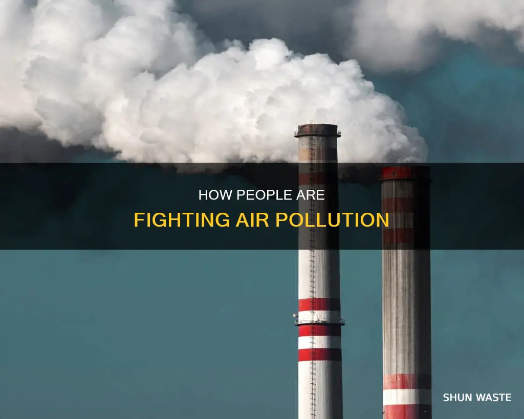 what actions do others take to reduce air pollution