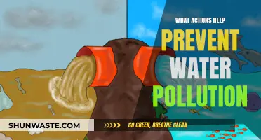 Protecting Our Waters: Simple Steps to Prevent Water Pollution