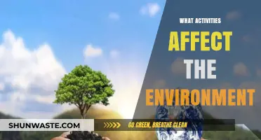 Daily Actions, Global Impact: Activities That Harm Our Environment