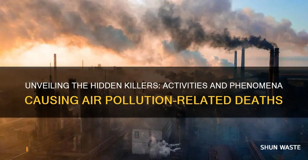 what activities and phenomena cause air pollution related deaths