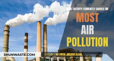 Unveiling the Hidden Culprit: Top Air Polluter Revealed