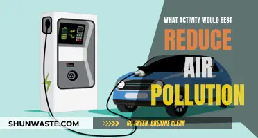 Green Initiatives: Reducing Air Pollution through Action