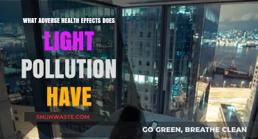 Light Pollution: Health Hazards and Solutions