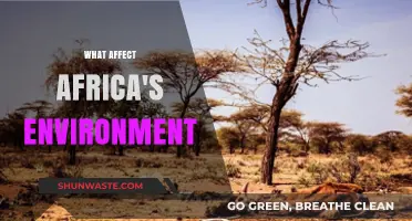 Exploring Factors Shaping Africa's Environment: Challenges and Opportunities
