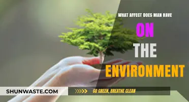 Human Impact: How Our Actions Shape the Environment's Future