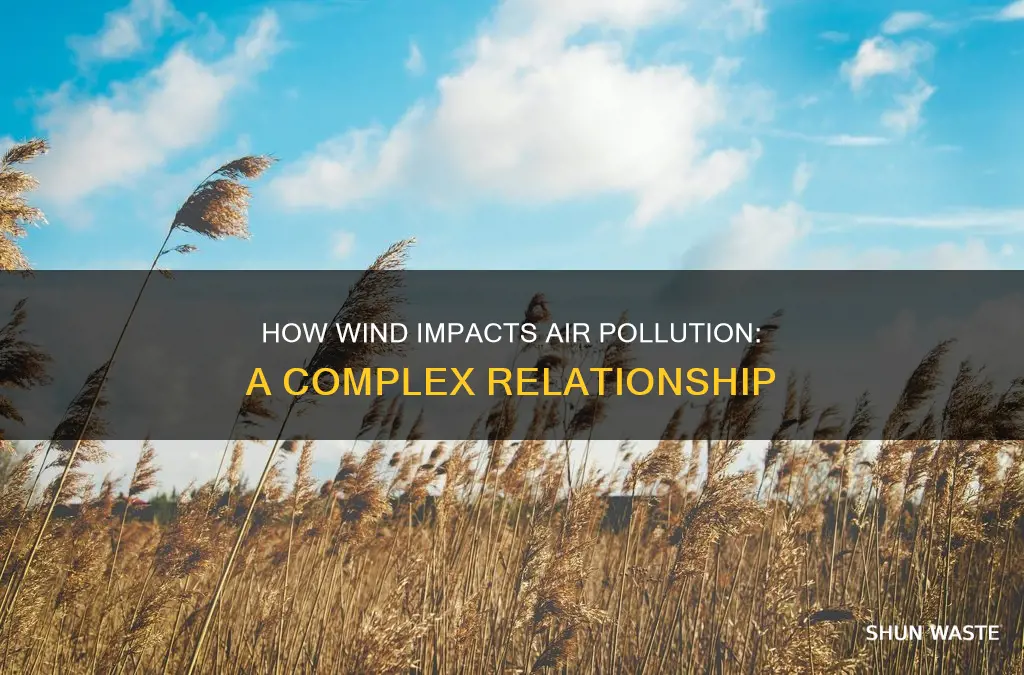 what affect does wind have on air pollution