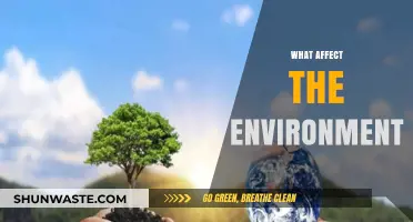 Human Actions and Natural Forces: Key Factors Shaping Our Environment