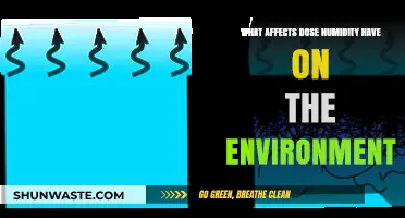 How Humidity Impacts Ecosystems, Climate, and Environmental Health