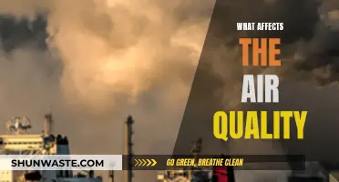 Air Quality Influencers: Factors Affecting the Air We Breathe