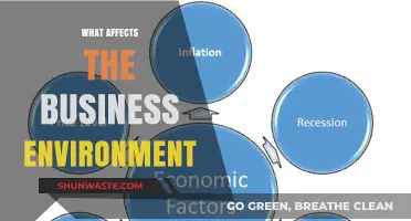 Key Factors Shaping the Dynamic Business Environment Today