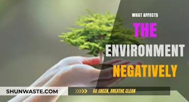 Human Activities and Their Devastating Impact on Our Environment