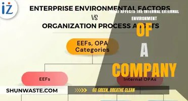 Exploring Factors Shaping a Company's Internal and External Environment