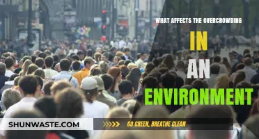 Overcrowding Crisis: Key Factors Impacting Environmental Strain and Solutions