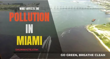 Miami's Pollution: Causes and Effects Explored