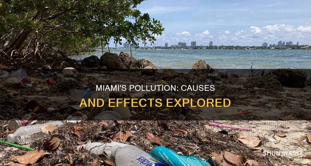 what affects the pollution in miami