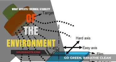 Exploring Factors Influencing Environmental Thermal Stability and Climate Resilience