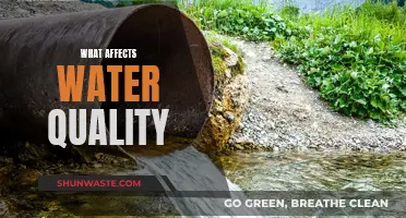 Water Quality: Impact of Human Activity and Environment