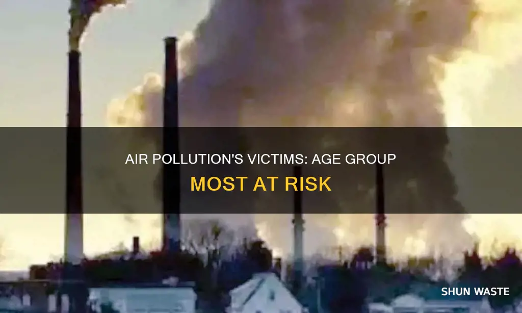 what age group is most affected by air pollution