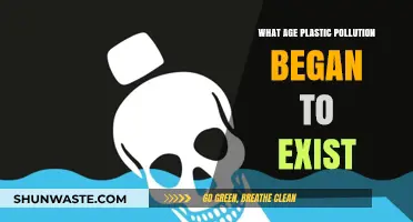 Plastic Pollution's Dark History: When Did It Start?