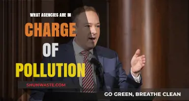 Who's in Charge of Pollution Control?