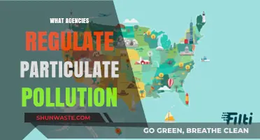 Regulating Particulate Pollution: Agencies in Action