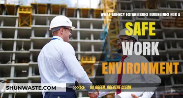 Who Sets Workplace Safety Standards? Understanding Key Regulatory Agencies