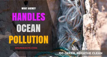 Ocean Pollution: Who's in Charge?