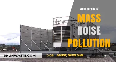 Noise Pollution: Who's Responsible in Massachusetts?