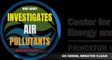 Air Pollution Investigators: Which Agencies Take on This Role?