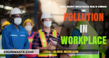 Workplace Pollution: Who Investigates Health Damage?