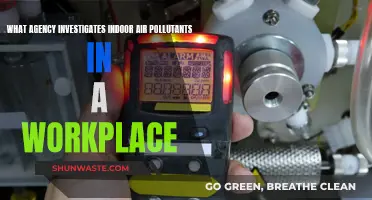 Workplace Air Quality: Who Monitors Indoor Pollution?