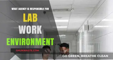 Ensuring Safe Lab Work Environments: The Responsible Agency's Role