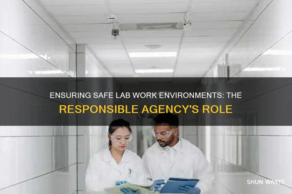 what agency is responsible for lab work environment