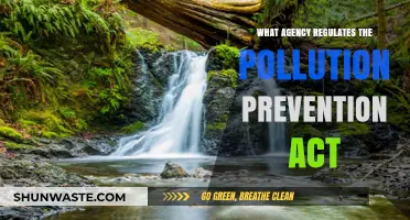 The Pollution Prevention Act: Who's in Charge?