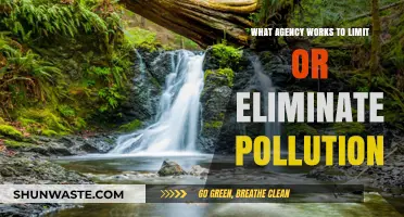 Agencies Fighting Pollution: A Global Effort
