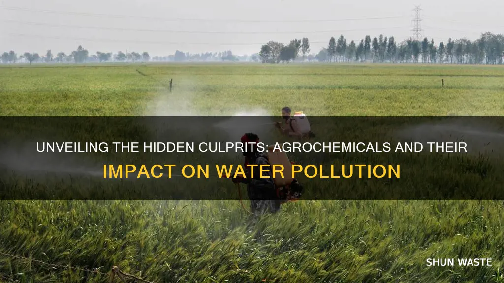 what agrochemicals are responsible for water pollution