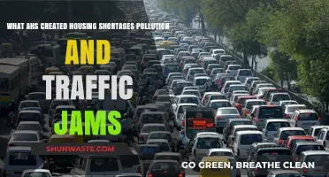 How Urbanization Impacts Our Cities and the Environment