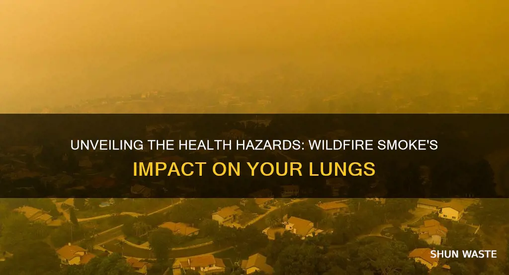 what ailments can you get from breathing wildfire smoke pollution