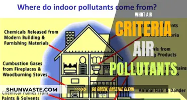 Air Quality: Criteria Pollutants and Their Impact