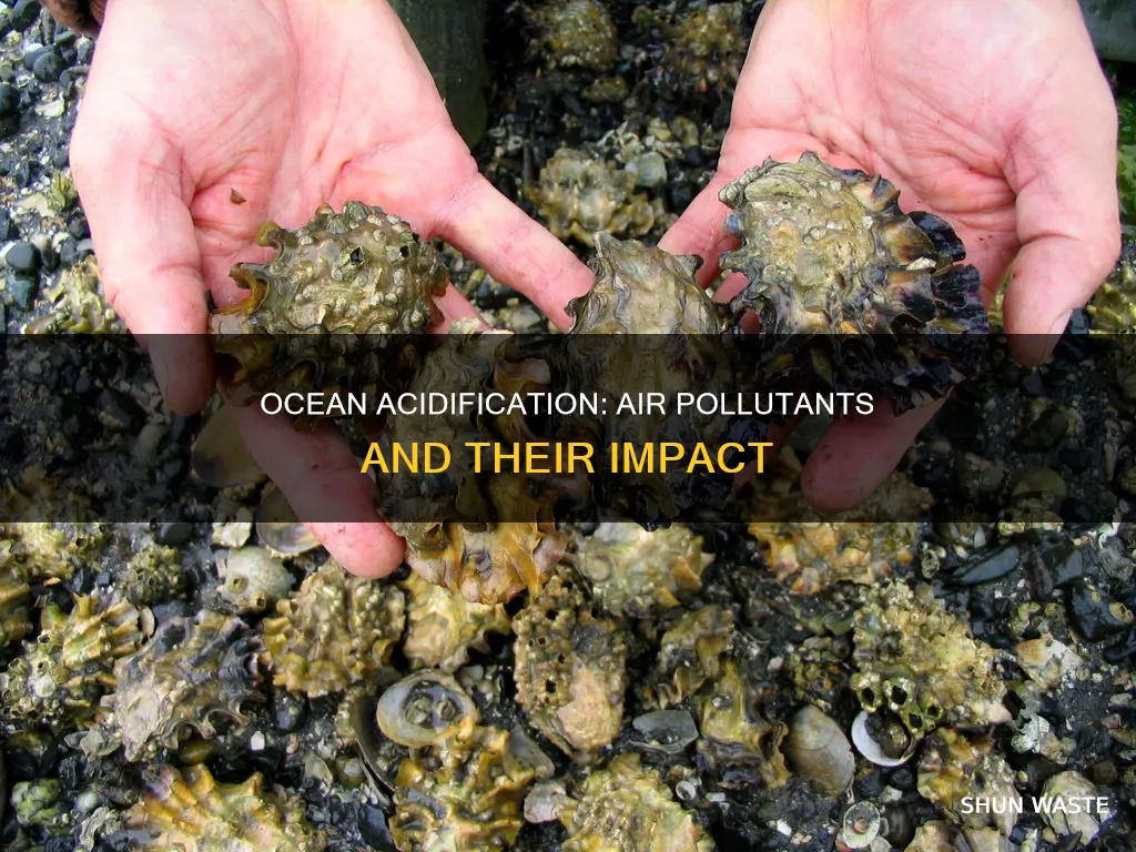 what air pollutant acidified the ocea