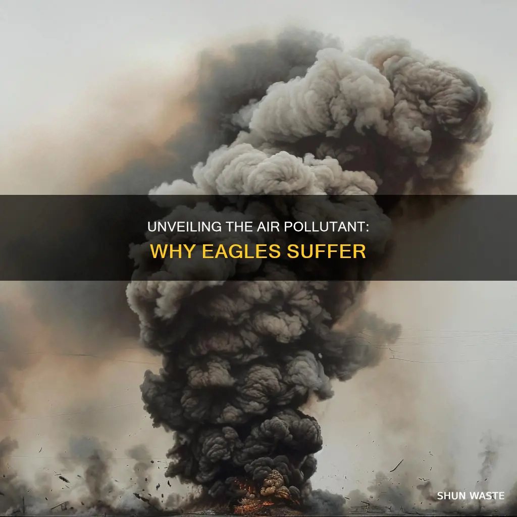 what air pollutant caused eagles