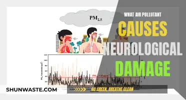 Unveiling the Neurotoxic Air Pollutant: A Health Crisis