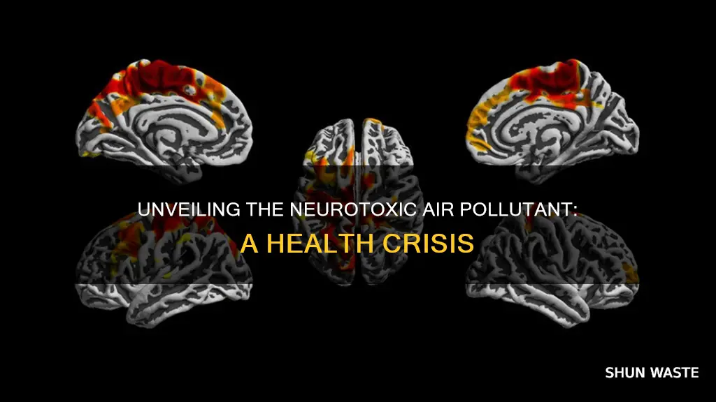 what air pollutant causes neurological damage