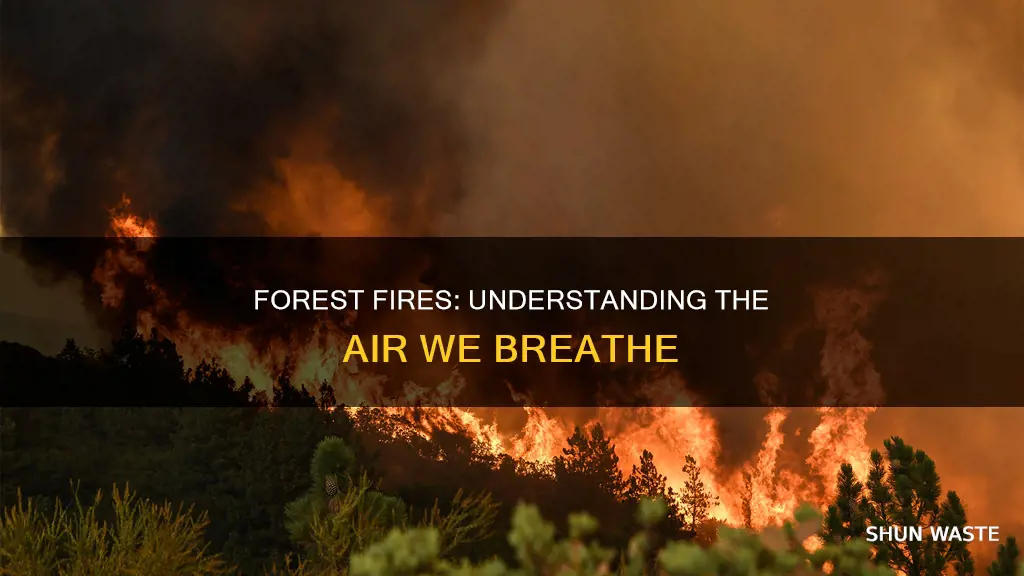 what air pollutant comes from a forest fire