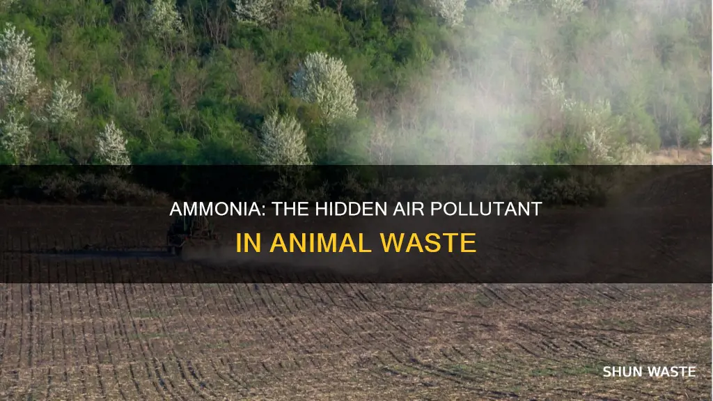 what air pollutant comes from animal waste