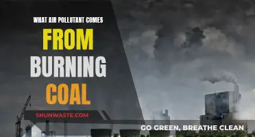 Coal Combustion: Air Pollutants and Their Impact