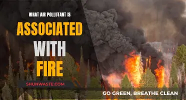 Fire and Air: Understanding the Pollutants in the Air
